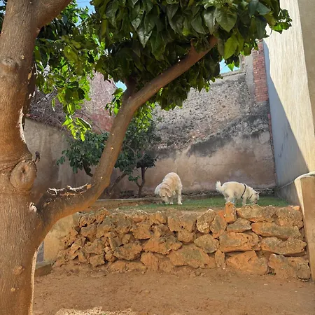 El Refugio De Naro